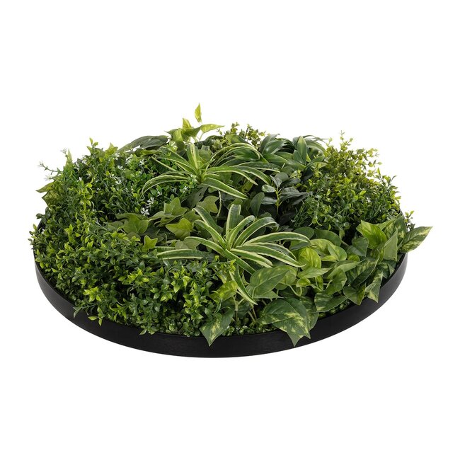 Artificial Garden VARIOUS PLANTS ROUND WALL DISC 20689 Τεχνητό Διακοσμητικό Στρογγυλό Πάνελ Φυλλωσιάς - Κάθετος Κήπος Μιξ Μ70 x Π70 x Υ15cm - 4