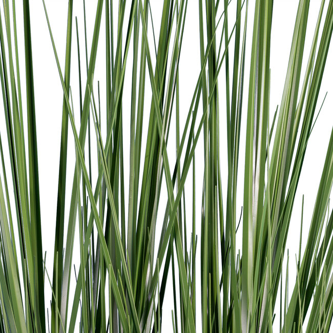 Artificial Garden PAMPAS GRASS 20071 Τεχνητό Διακοσμητικό Φυτό Γρασίδι της Πάμπας Υ150cm Artificial Garden PAMPAS GRASS 20071 Τεχνητό Διακοσμητικό Φυτό Γρασίδι της Πάμπας Υ150cm