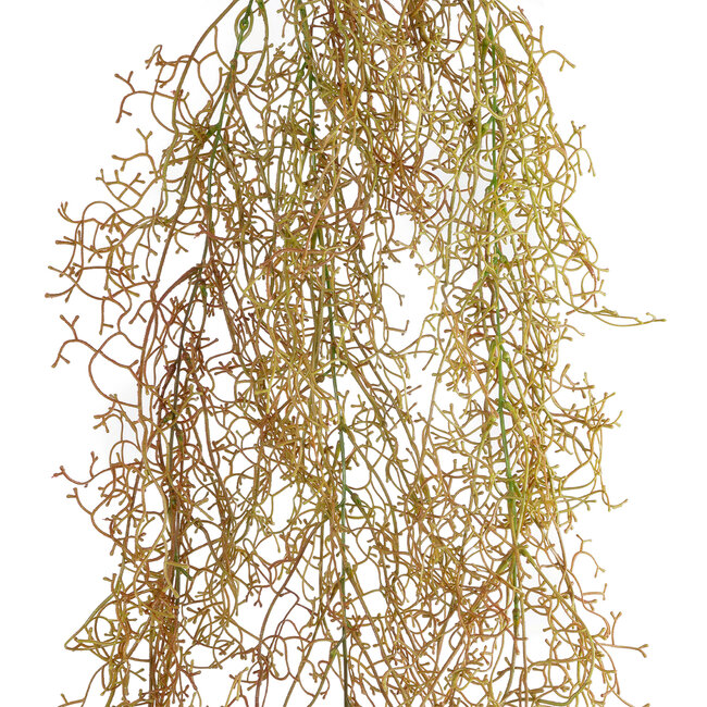 Artificial Garden HANGING AIR GRASS 20816 Τεχνητό Διακοσμητικό Κρεμαστό Φυτό Air Grass Μ22 x Π10 x Υ91cm Artificial Garden HANGING AIR GRASS 20816 Τεχνητό Διακοσμητικό Κρεμαστό Φυτό Air Grass Μ22 x Π10 x Υ91cm