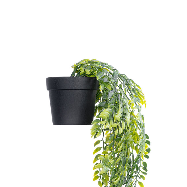 Artificial Garden HANGING FERN 20877 - Τεχνητό Κρεμαστό Διακοσμητικό Φυτό Φτέρη  Φ23 x Y70cm - 4