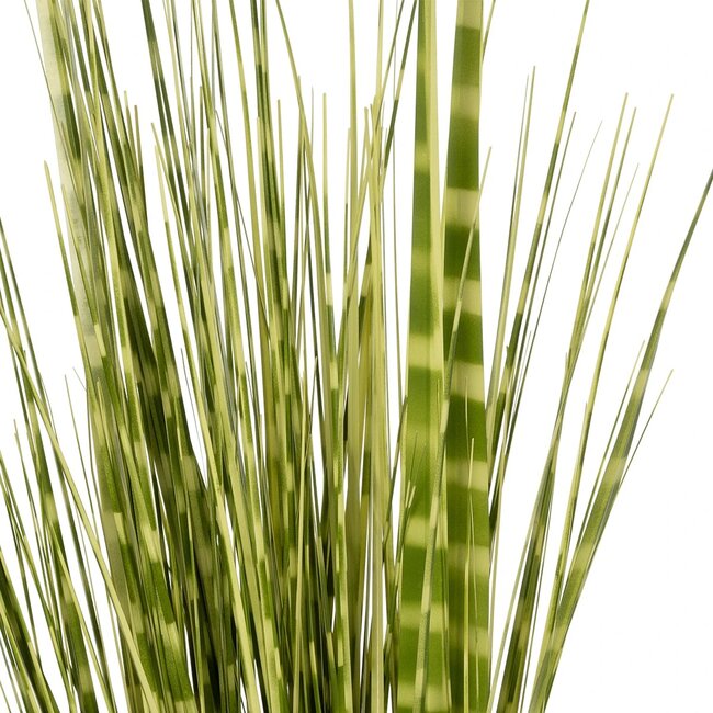 Artificial Garden ZEBRA GRASS 21481 Τεχνητό Διακοσμητικό Φυτό Ζέμπρα Μ30 x Π20 x Υ90cm