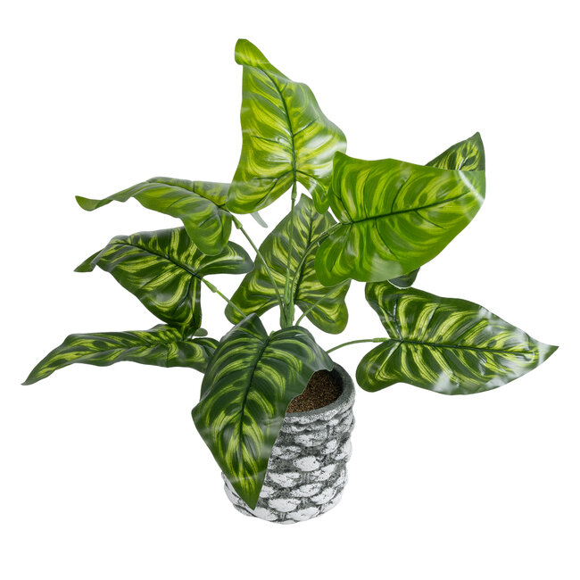 Artificial Garden PEACOCK 20888 Τεχνητό Διακοσμητικό Φυτό Παγώνι Φ38 x Υ33cm - 2