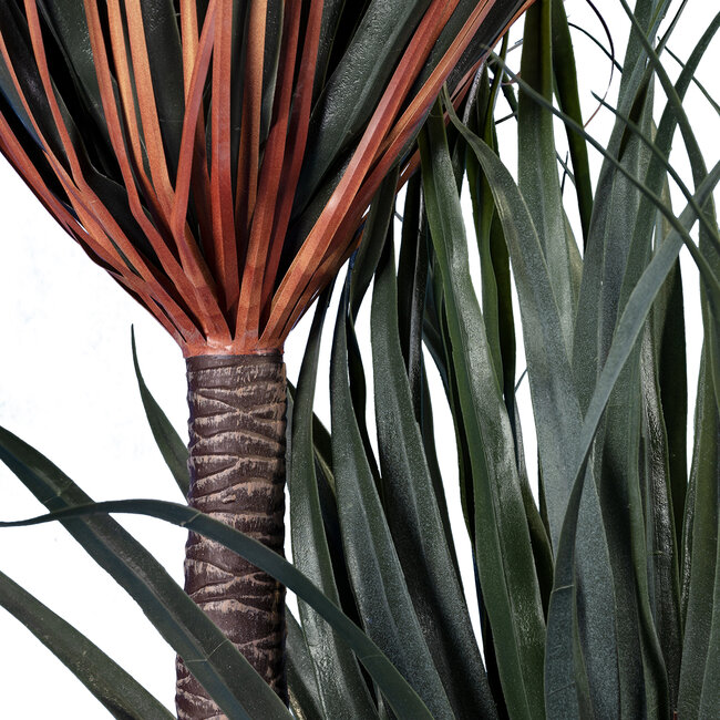 Artificial Garden PANDANUS TREE 20050 Τεχνητό Διακοσμητικό Φυτό Πάνδανος Υ210cm Artificial Garden PANDANUS TREE 20050 Τεχνητό Διακοσμητικό Φυτό Πάνδανος Υ210cm