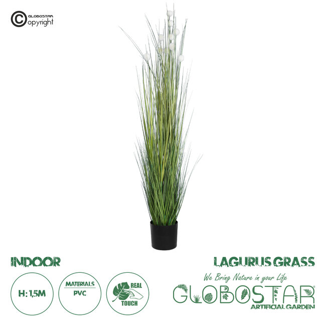 Artificial Garden LAGURUS GRASS 20111 Τεχνητό Διακοσμητικό Φυτό Λαγοουρά Υ150cm