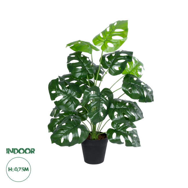 Artificial Garden MONSTERA 20909 Διακοσμητικό Φυτό Μονστέρα Υ75cm Artificial Garden MONSTERA 20909 Διακοσμητικό Φυτό Μονστέρα Υ75cm