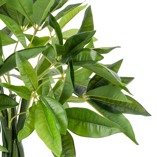Artificial Garden PACHIRA GLABRA 20427 Τεχνητό Διακοσμητικό Φυτό Παχίρα της Τύχης Υ90cm Artificial Garden PACHIRA GLABRA 20427 Τεχνητό Διακοσμητικό Φυτό Παχίρα της Τύχης Υ90cm