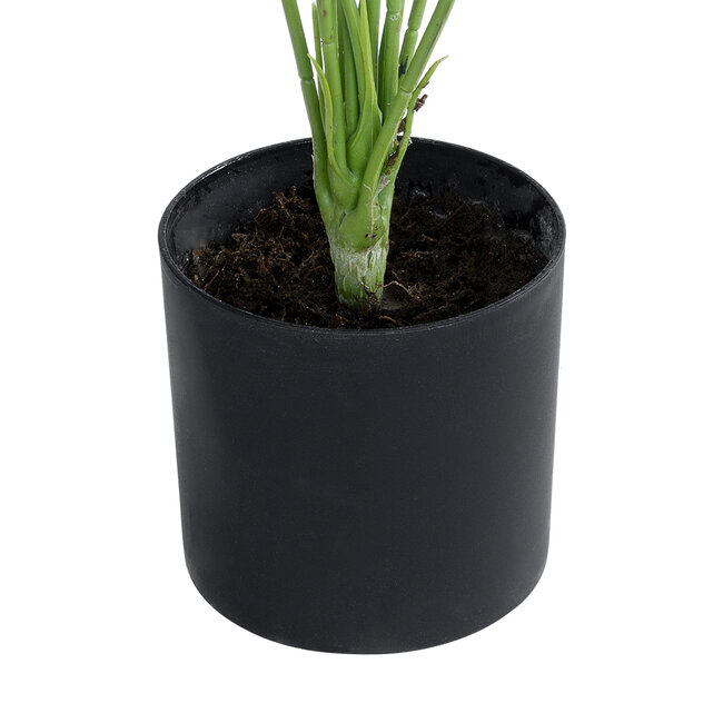 Artificial Garden WHITE HOSTA 20931 Διακοσμητικό Φυτό Λευκή  Χόστα Υ55cm - 4