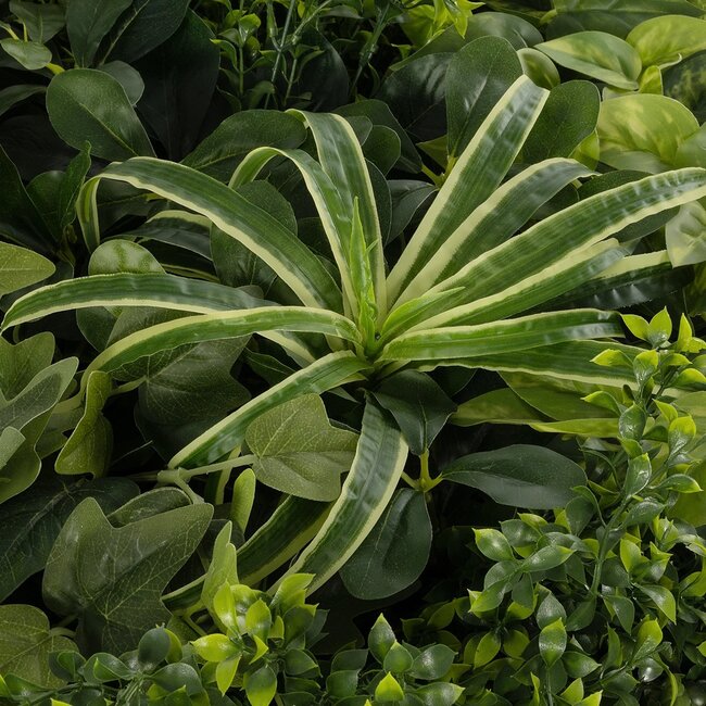 Artificial Garden VARIOUS PLANTS ROUND WALL DISC 20689 Τεχνητό Διακοσμητικό Στρογγυλό Πάνελ Φυλλωσιάς - Κάθετος Κήπος Μιξ Μ70 x Π70 x Υ15cm - 6