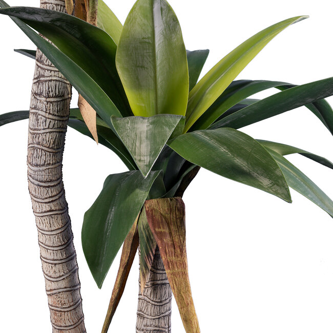 Artificial Garden AGAVE 20045 Τεχνητό Διακοσμητικό Φυτό Αγαύη Υ172cm - 3