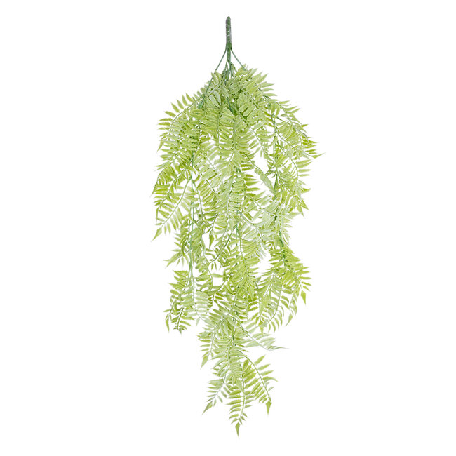 Artificial Garden HANGING FERN 20855 Τεχνητό Διακοσμητικό Κρεμαστό Φυτό Φτέρη Μ30 x Π14 x Υ85cm Artificial Garden HANGING FERN 20855 Τεχνητό Διακοσμητικό Κρεμαστό Φυτό Φτέρη Μ30 x Π14 x Υ85cm