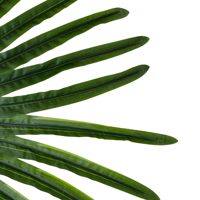 Artificial Garden SERENOA PALM LEAF 20174 Τεχνητό Διακοσμητικό Φύλο Φοινικόδεντρου Σερενόα Βεντάλια Π90 x Υ170cm - 4