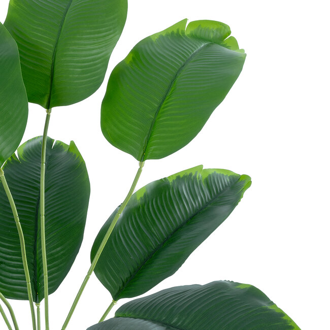 Artificial Garden BANANA 20927 Διακοσμητικό Φυτό Μπανανιά Υ55cm
