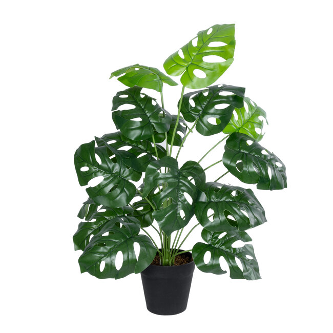 Artificial Garden MONSTERA 20909 Διακοσμητικό Φυτό Μονστέρα Υ75cm Artificial Garden MONSTERA 20909 Διακοσμητικό Φυτό Μονστέρα Υ75cm