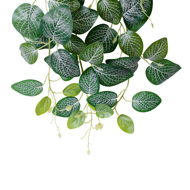 Artificial Garden NERVE HANGING BRANCH 20250 Τεχνητό Διακοσμητικό Κρεμαστό Φυτό Φιτόνια Άμπελος Υ65cm Artificial Garden NERVE HANGING BRANCH 20250 Τεχνητό Διακοσμητικό Κρεμαστό Φυτό Φιτόνια Άμπελος Υ65cm