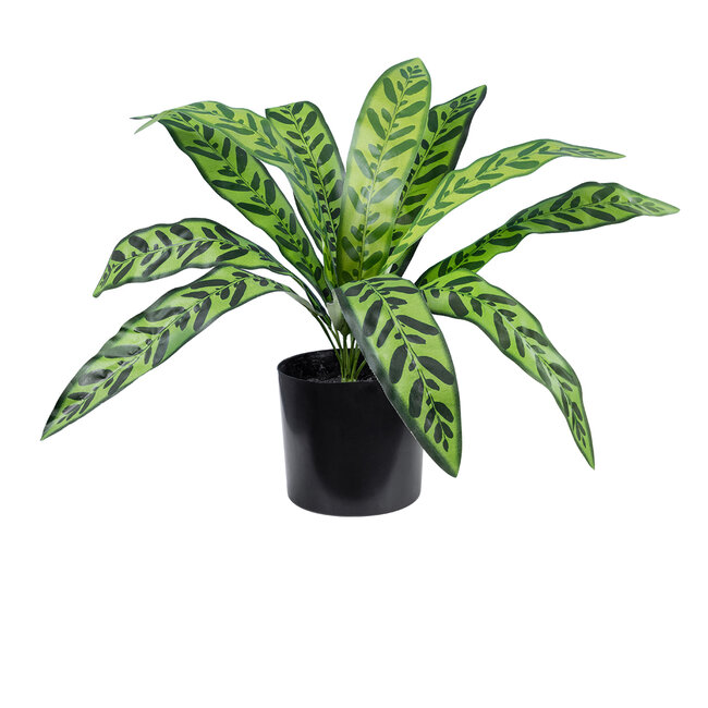 Artificial Garden TARO 20082 Τεχνητό Διακοσμητικό Φυτό Κολοκασία Υ30cm