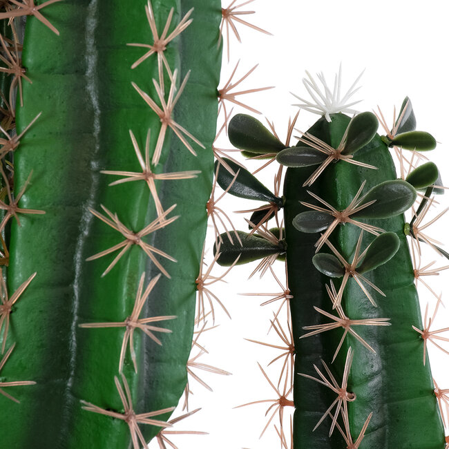 Artificial Garden MYRTILLOCACTUS 20128 Τεχνητό Διακοσμητικό Φυτό Μυρτιλλόκακτος Υ150cm