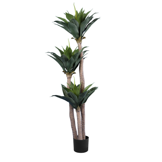 Artificial Garden AGAVE 20215 Τεχνητό Διακοσμητικό Φυτό Αγαύη Υ150cm Artificial Garden AGAVE 20215 Τεχνητό Διακοσμητικό Φυτό Αγαύη Υ150cm