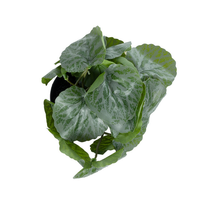 Artificial Garden STRAWBERRY 20950 Διακοσμητικό Φυτό Φραουλιά Υ16cm Artificial Garden STRAWBERRY 20950 Διακοσμητικό Φυτό Φραουλιά Υ16cm