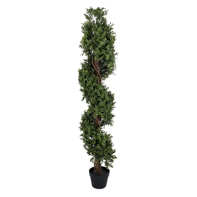 Artificial Garden BUXUS SPIRAL 20401 Τεχνητό Διακοσμητικό Φυτό Σπιράλ Πυξός Υ150cm Artificial Garden BUXUS SPIRAL 20401 Τεχνητό Διακοσμητικό Φυτό Σπιράλ Πυξός Υ150cm