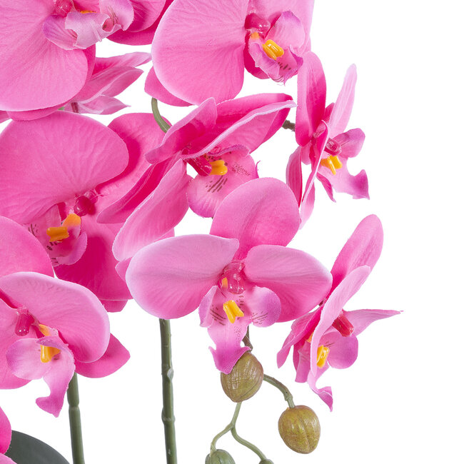 Artificial Garden PINK ORCHID 21116 Διακοσμητικό Φυτό Ροζ Ορχιδέα Υ45cm Artificial Garden PINK ORCHID 21116 Διακοσμητικό Φυτό Ροζ Ορχιδέα Υ45cm