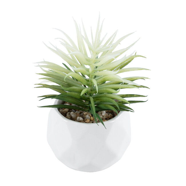 Artificial Garden SUCCULENT SENECIO 20997 Διακοσμητικό Φυτό Παχύφυτο Σενέκιο Υ12cm