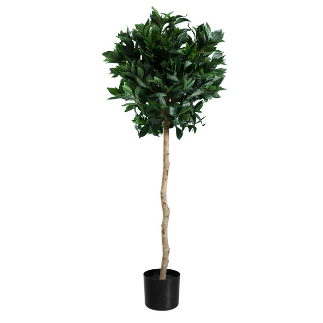 Artificial Garden LAUREL 20084 Τεχνητό Διακοσμητικό Φυτό Δάφνη Υ120cm