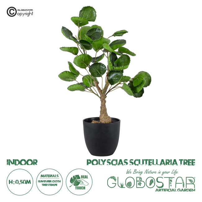 Artificial Garden POLYSCIAS SCUTELLARIA TREE 20424 Τεχνητό Διακοσμητικό Φυτό Πολυσκιά Υ50cm Artificial Garden POLYSCIAS SCUTELLARIA TREE 20424 Τεχνητό Διακοσμητικό Φυτό Πολυσκιά Υ50cm