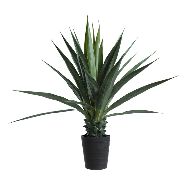 Artificial Garden SISAL AGAVE 20078 Τεχνητό Διακοσμητικό Φυτό Αγαύη Υ110cm Artificial Garden SISAL AGAVE 20078 Τεχνητό Διακοσμητικό Φυτό Αγαύη Υ110cm