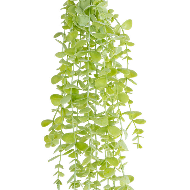 Artificial Garden HANGING EUCALYPTUS 20811 Τεχνητό Διακοσμητικό Κρεμαστό Φυτό Ευκάλυπτος Μ16 x Π9 x Υ105cm Artificial Garden HANGING EUCALYPTUS 20811 Τεχνητό Διακοσμητικό Κρεμαστό Φυτό Ευκάλυπτος Μ16 x Π9 x Υ105cm