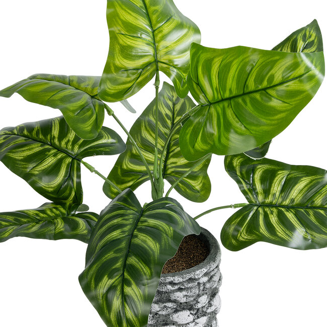 Artificial Garden PEACOCK 20888 Τεχνητό Διακοσμητικό Φυτό Παγώνι Φ38 x Υ33cm - 3