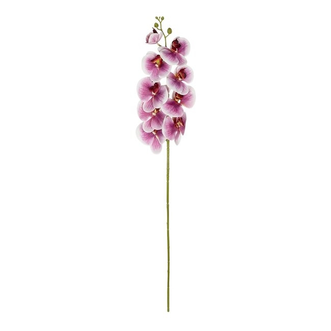 Artificial Garden PINK ORCHID BRANCH 21407 Τεχνητό Διακοσμητικό Κλαδί Ροζ Ορχιδέα Y95cm