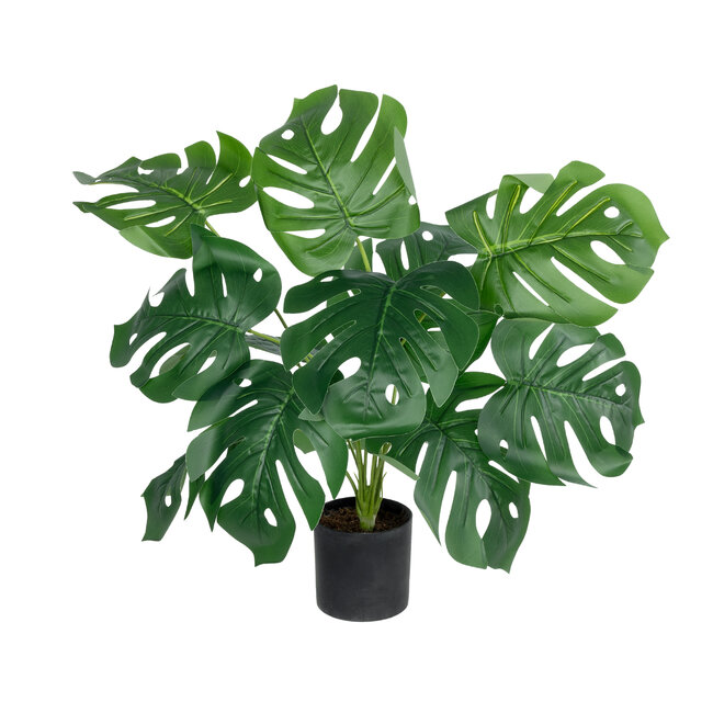 Artificial Garden MONSTERA 20934 Διακοσμητικό Φυτό Μονστέρα Υ55cm Artificial Garden MONSTERA 20934 Διακοσμητικό Φυτό Μονστέρα Υ55cm