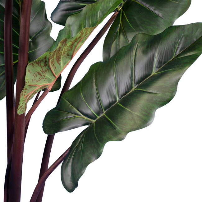 Artificial Garden RAINBOW TARO 20055 Τεχνητό Διακοσμητικό Φυτό Κολοκασία Υ140cm Artificial Garden RAINBOW TARO 20055 Τεχνητό Διακοσμητικό Φυτό Κολοκασία Υ140cm