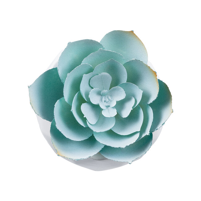 Artificial Garden SUCCULENT ECHEVERIA 20996 Διακοσμητικό Φυτό Παχύφυτο Εχεβέρια Υ7cm Artificial Garden SUCCULENT ECHEVERIA 20996 Διακοσμητικό Φυτό Παχύφυτο Εχεβέρια Υ7cm