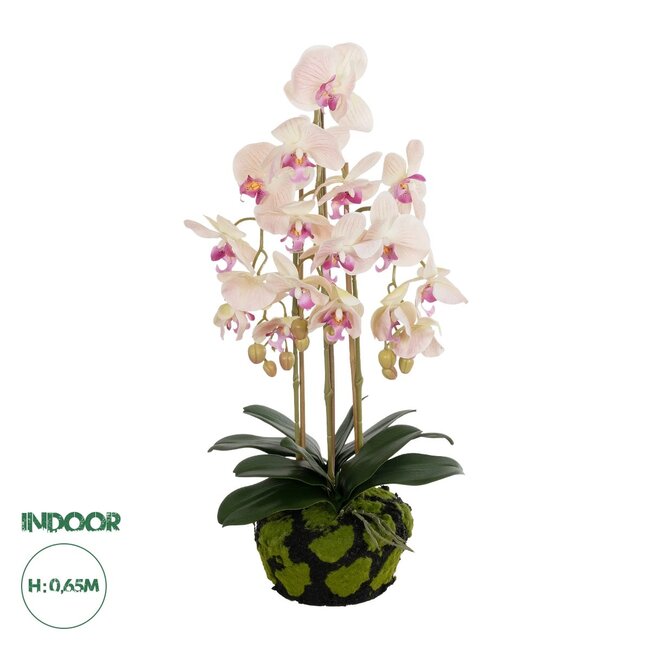 Artificial Garden BUTTERFLY ORCHID BONSAI 21400 Τεχνητό Διακοσμητικό Φυτό Ορχιδέα Μ34 x Π27 x Υ65cm