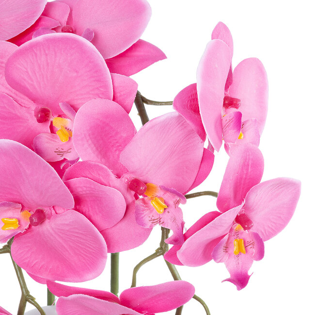 Artificial Garden PINK ORCHID 21127 Διακοσμητικό Φυτό Έντονο Ροζ Ορχιδέα Υ39cm Artificial Garden PINK ORCHID 21127 Διακοσμητικό Φυτό Έντονο Ροζ Ορχιδέα Υ39cm