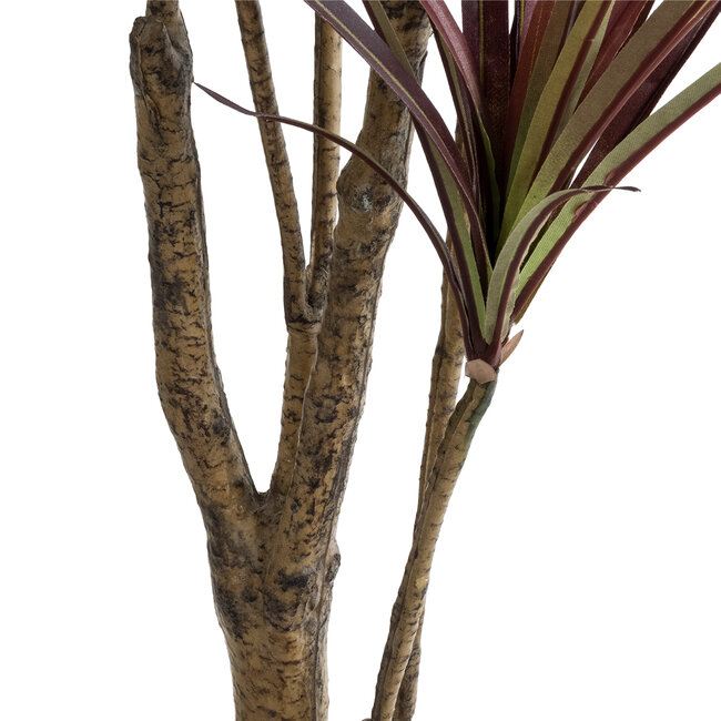 Artificial Garden DRAGON BLOOD TREE 20970 Τεχνητό Διακοσμητικό Φυτό Δράκαινα Φ60 x Υ140cm - 4