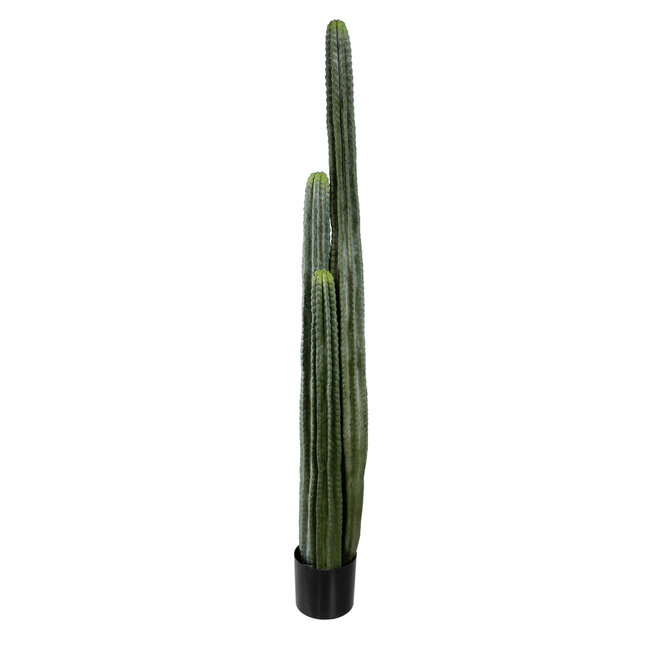 Artificial Garden CARNEGIEA CACTUS 20122 Τεχνητό Διακοσμητικό Φυτό Κάκτος Σαγκουάρο Υ150cm Artificial Garden CARNEGIEA CACTUS 20122 Τεχνητό Διακοσμητικό Φυτό Κάκτος Σαγκουάρο Υ150cm