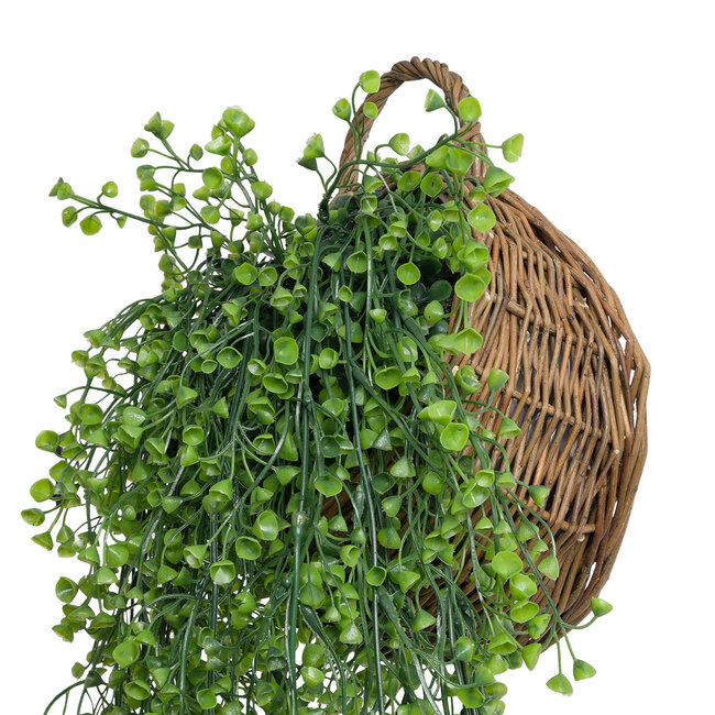 Artificial Garden GOLDEN BELL WILLOW 1 HANGING PLANT 20630 Κρεμαστό Τεχνητό Διακοσμητικό Φυτό Ιτίας  Y110cm Artificial Garden GOLDEN BELL WILLOW 1 HANGING PLANT 20630 Κρεμαστό Τεχνητό Διακοσμητικό Φυτό Ιτίας  Y110cm