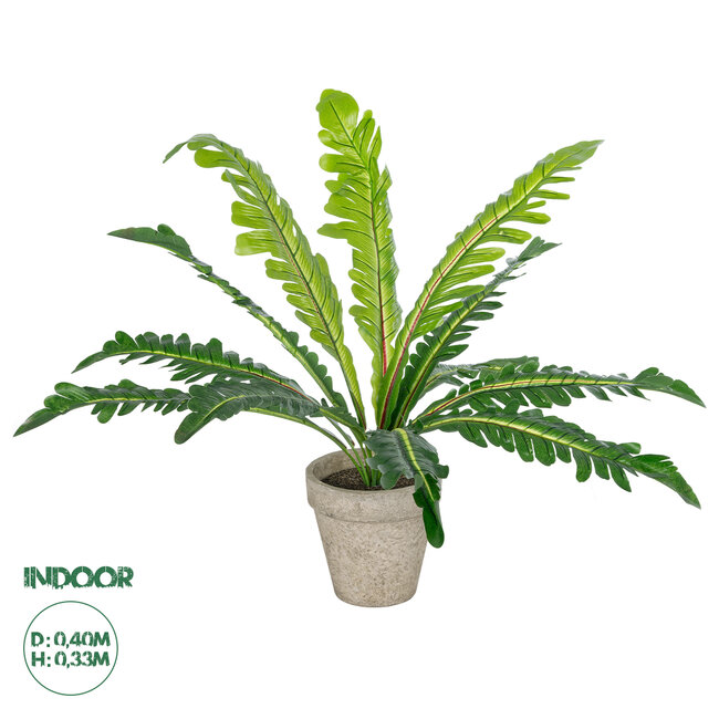 Artificial Garden ASPLENIUM POTTED PLANT 20904 Διακοσμητικό Φυτό Aslenium Φ40 x Υ33cm Artificial Garden ASPLENIUM POTTED PLANT 20904 Διακοσμητικό Φυτό Aslenium Φ40 x Υ33cm
