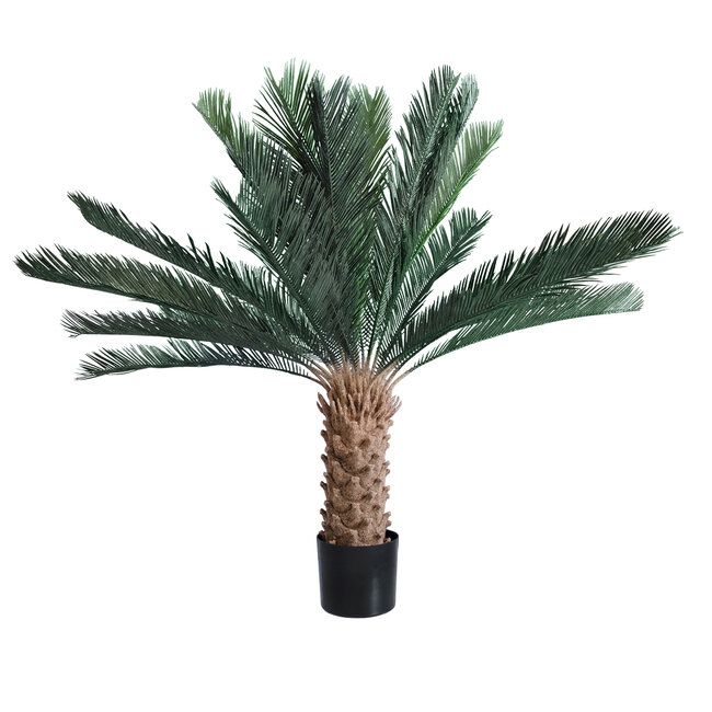 Artificial Garden CYCADS 20022 Τεχνητό Διακοσμητικό Φυτό Αρωματική Κύκας Υ120cm Artificial Garden CYCADS 20022 Τεχνητό Διακοσμητικό Φυτό Αρωματική Κύκας Υ120cm
