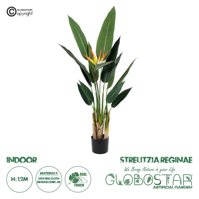 Artificial Garden STRELITZIA REGINAE 20031 Τεχνητό Διακοσμητικό Φυτό Στρελίτσια - Πουλί του Παραδείσου Υ120cm Artificial Garden STRELITZIA REGINAE 20031 Τεχνητό Διακοσμητικό Φυτό Στρελίτσια - Πουλί του Παραδείσου Υ120cm