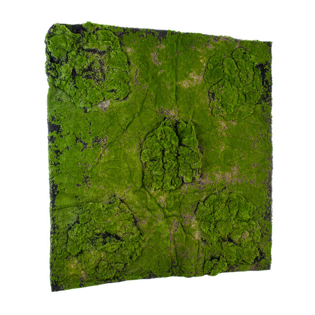 Artificial Garden BRYOPHYTA 20148 Τεχνητό Διακοσμητικό Πάνελ Φυλλωσιάς - Κάθετος Κήπος Βρύα Μ100 x Π100 x Υ4cm - 5