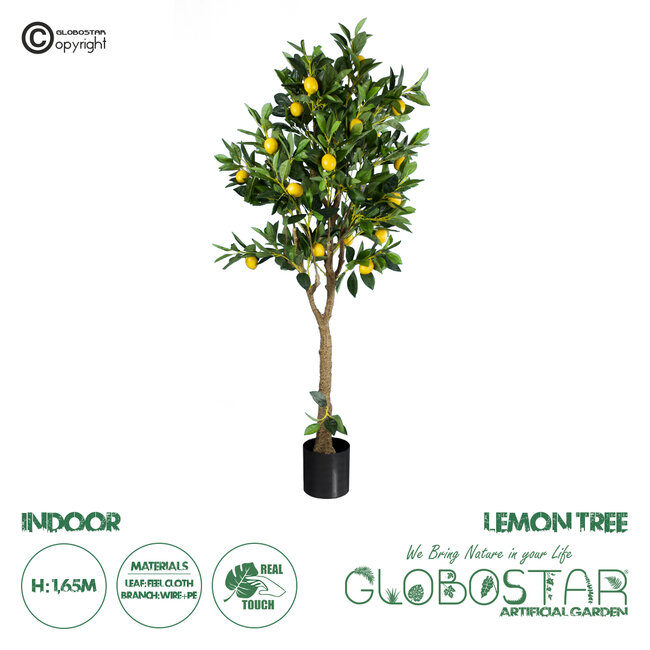 Artificial Garden LEMON TREE 20214 Τεχνητό Διακοσμητικό Δέντρο Λεμονιά Υ165cm Artificial Garden LEMON TREE 20214 Τεχνητό Διακοσμητικό Δέντρο Λεμονιά Υ165cm