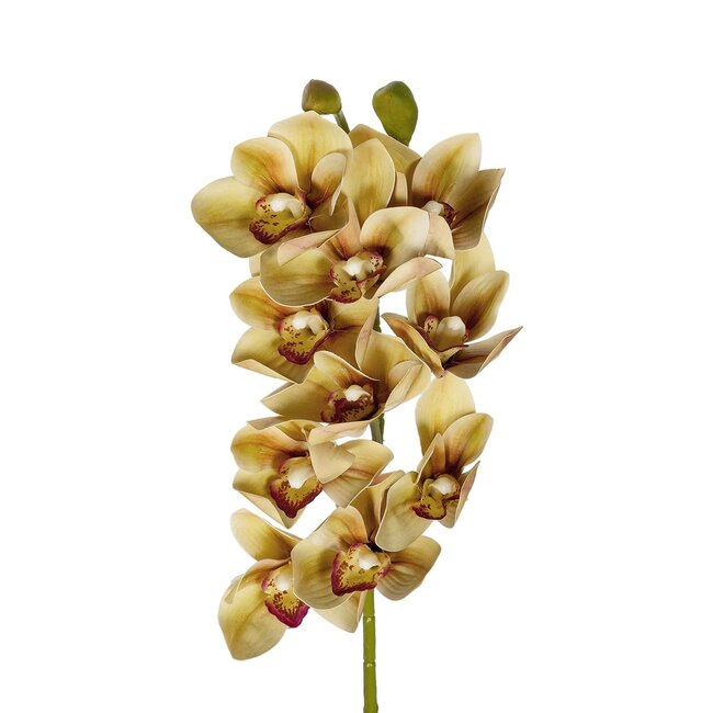 Artificial Garden CHAMPAGNE CYMBIDIUM BRANCH 21408 Τεχνητό Διακοσμητικό Κλαδί Σαμπανί Κυμβίδιο  Y75cm