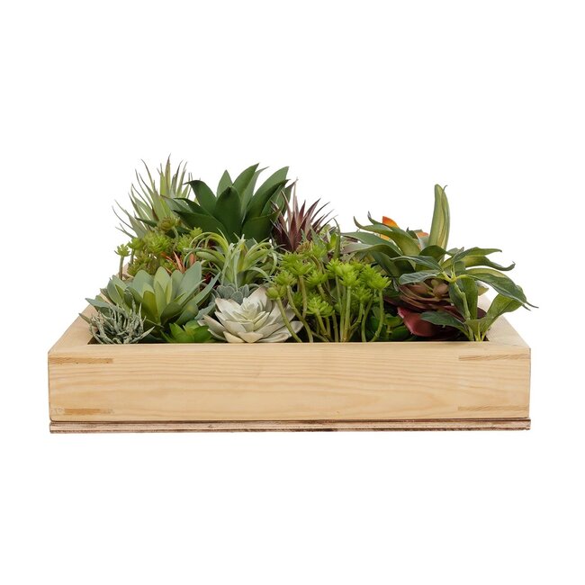 Artificial Garden VARIOUS PLANT 20642 Τεχνητό Διακοσμητικό Φυλλωσιάς σε Ξύλινο Πάνελ  - Κάθετος Κήπος Μιξ Μ60 x Π60 x Υ20cm