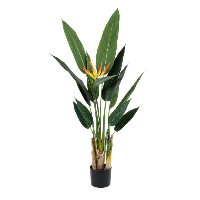 Artificial Garden STRELITZIA REGINAE 20031 Τεχνητό Διακοσμητικό Φυτό Στρελίτσια - Πουλί του Παραδείσου Υ120cm Artificial Garden STRELITZIA REGINAE 20031 Τεχνητό Διακοσμητικό Φυτό Στρελίτσια - Πουλί του Παραδείσου Υ120cm