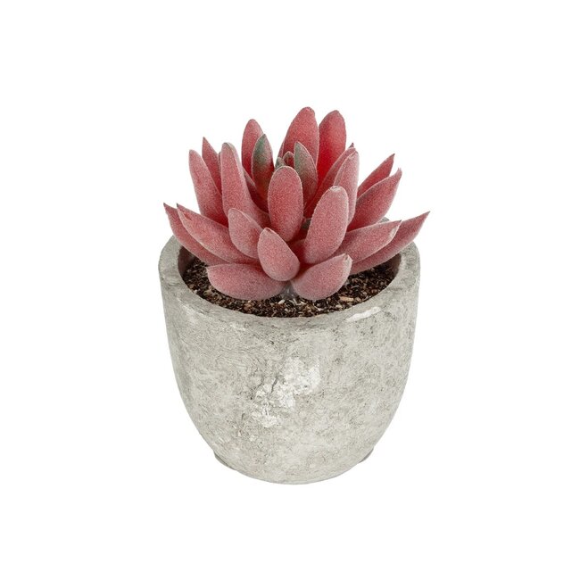 Artificial Garden SUCCULENT SEDEVERIA 21020 Τεχνητό Διακοσμητικό Φυτό Σεδεβέρια Μ6.5 x Π6.5 x Υ9cm