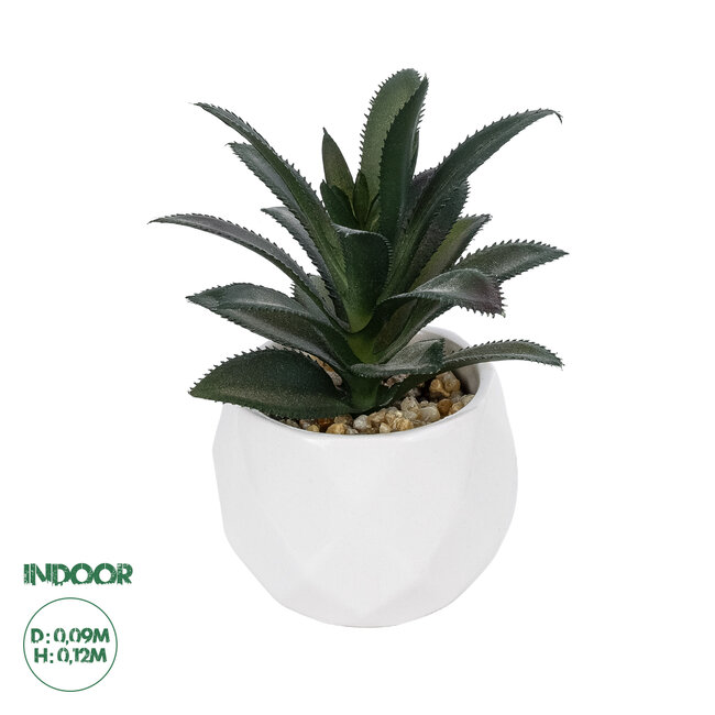 Artificial Garden SUCCULENT ALOE POTTED PLANT 20983 Διακοσμητικό Φυτό Αλόης Φ9 x Υ12cm Artificial Garden SUCCULENT ALOE POTTED PLANT 20983 Διακοσμητικό Φυτό Αλόης Φ9 x Υ12cm