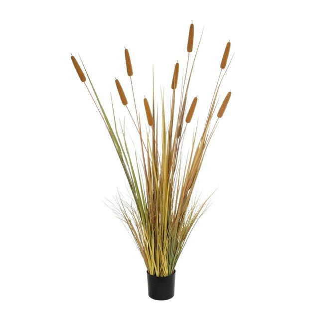 Artificial Garden TYPHA GRASS 21484 Τεχνητό Διακοσμητικό Φυτό Γρασίδι της Τύφας Μ100 x Π35 x Υ180cm - 2